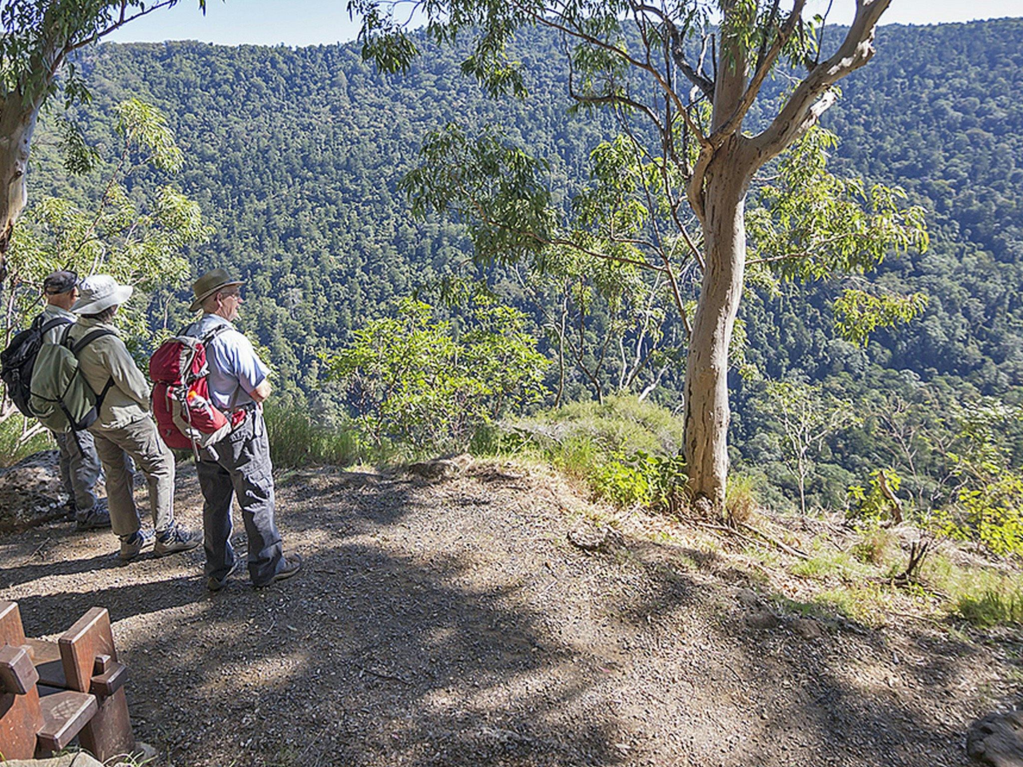 3 walkers taking in views of forested slopes of Coomera Valley. 3 walkers taking in views of forested slopes of Coomera Valley.