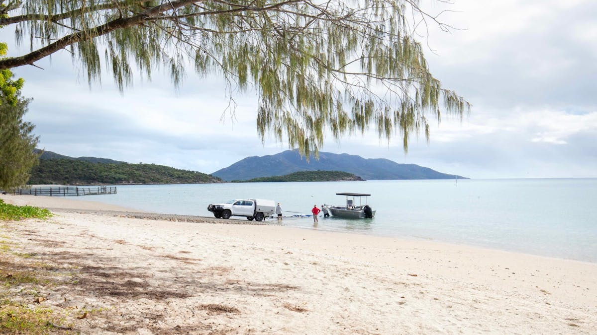 A boat being hauled up onto the beach after a day’s fishing, with Dingo Beach Pub just steps away.