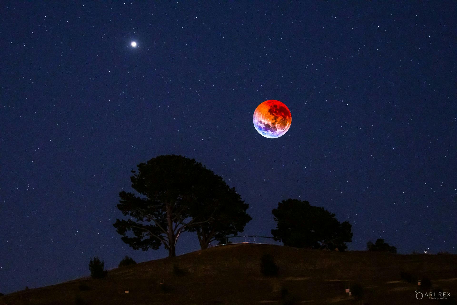 A reddish full moon low above the horizon, with wind turbines and trees silhouetted against a dark b