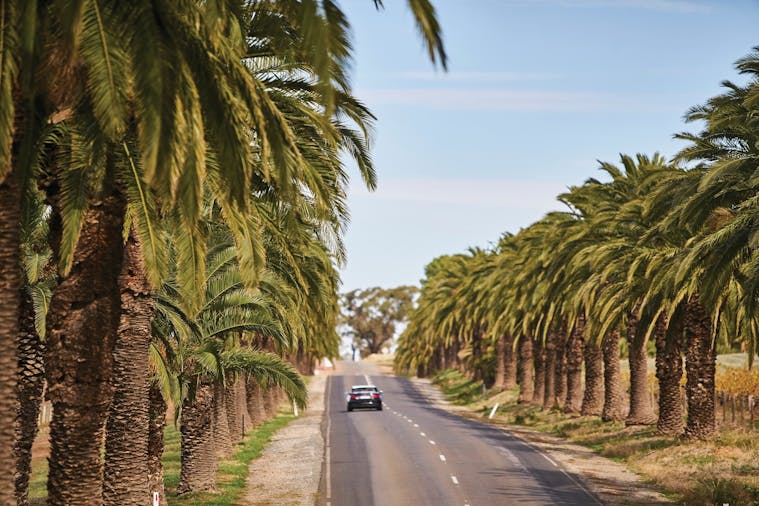 Discover the Barossa Valley History Heritage