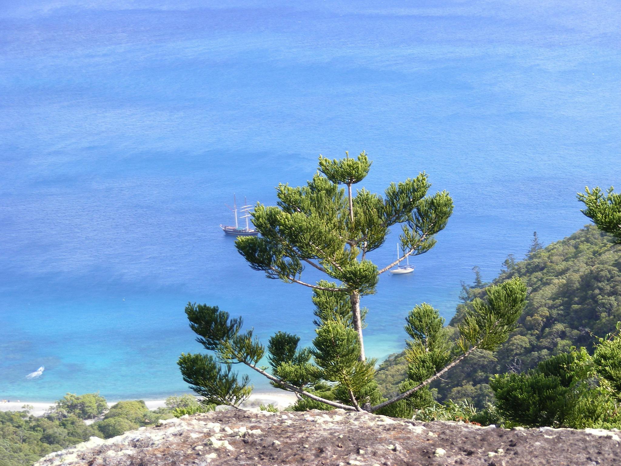 Hook Island Hook Island