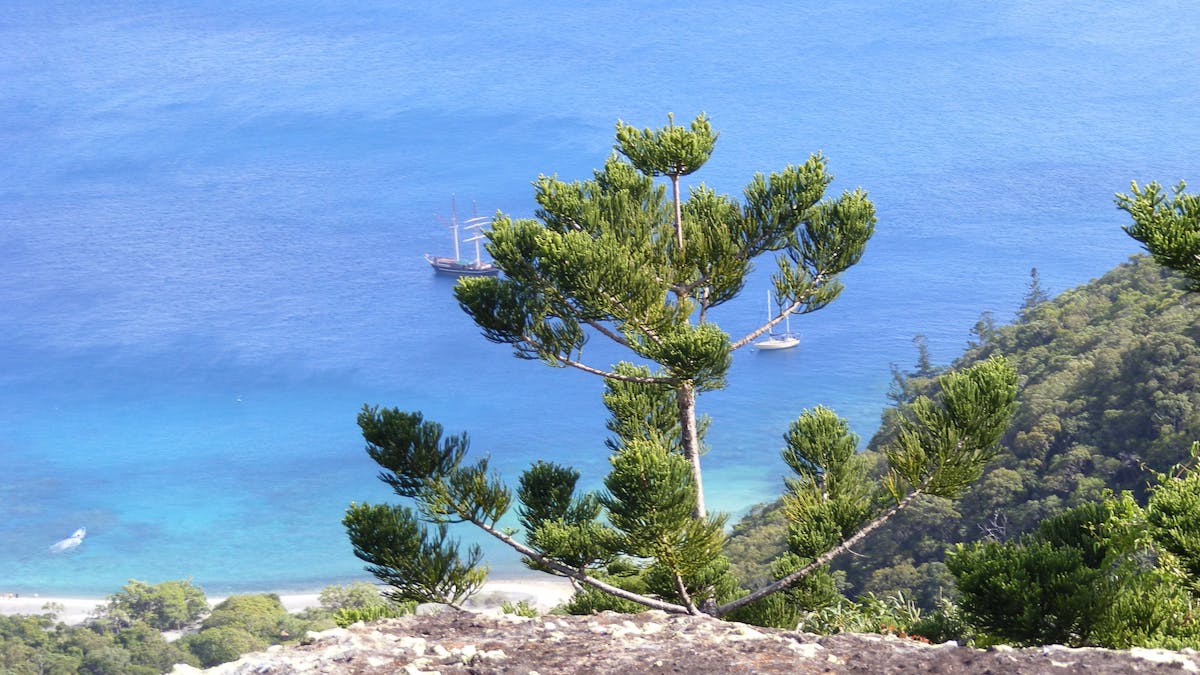 Hook Island