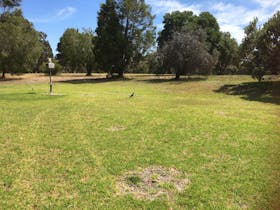 Grassed camping area