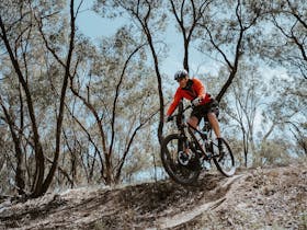 Deniliquin image