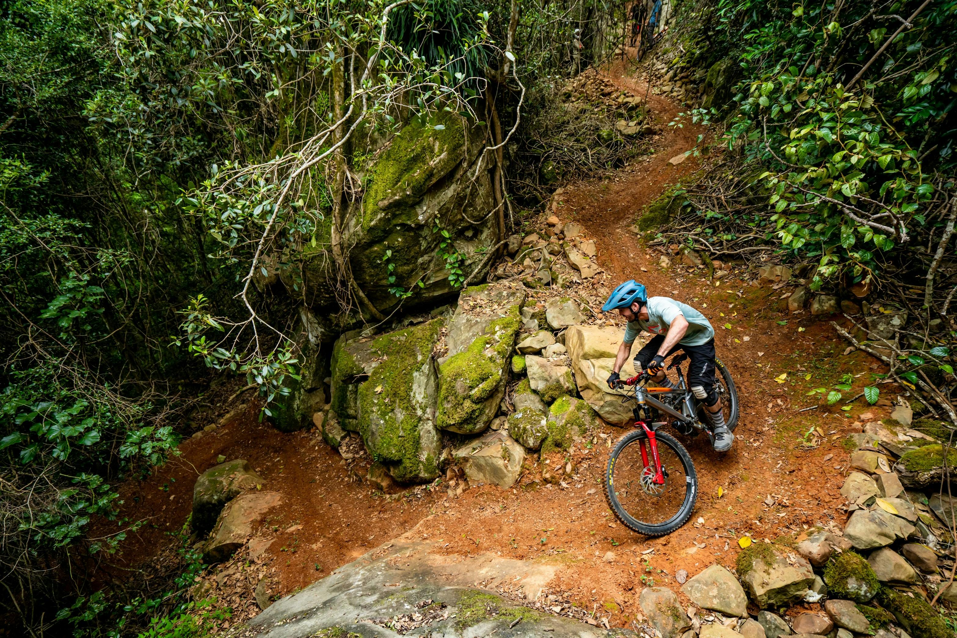 Rider on a trail in the rainforest at Barrington Bike Park