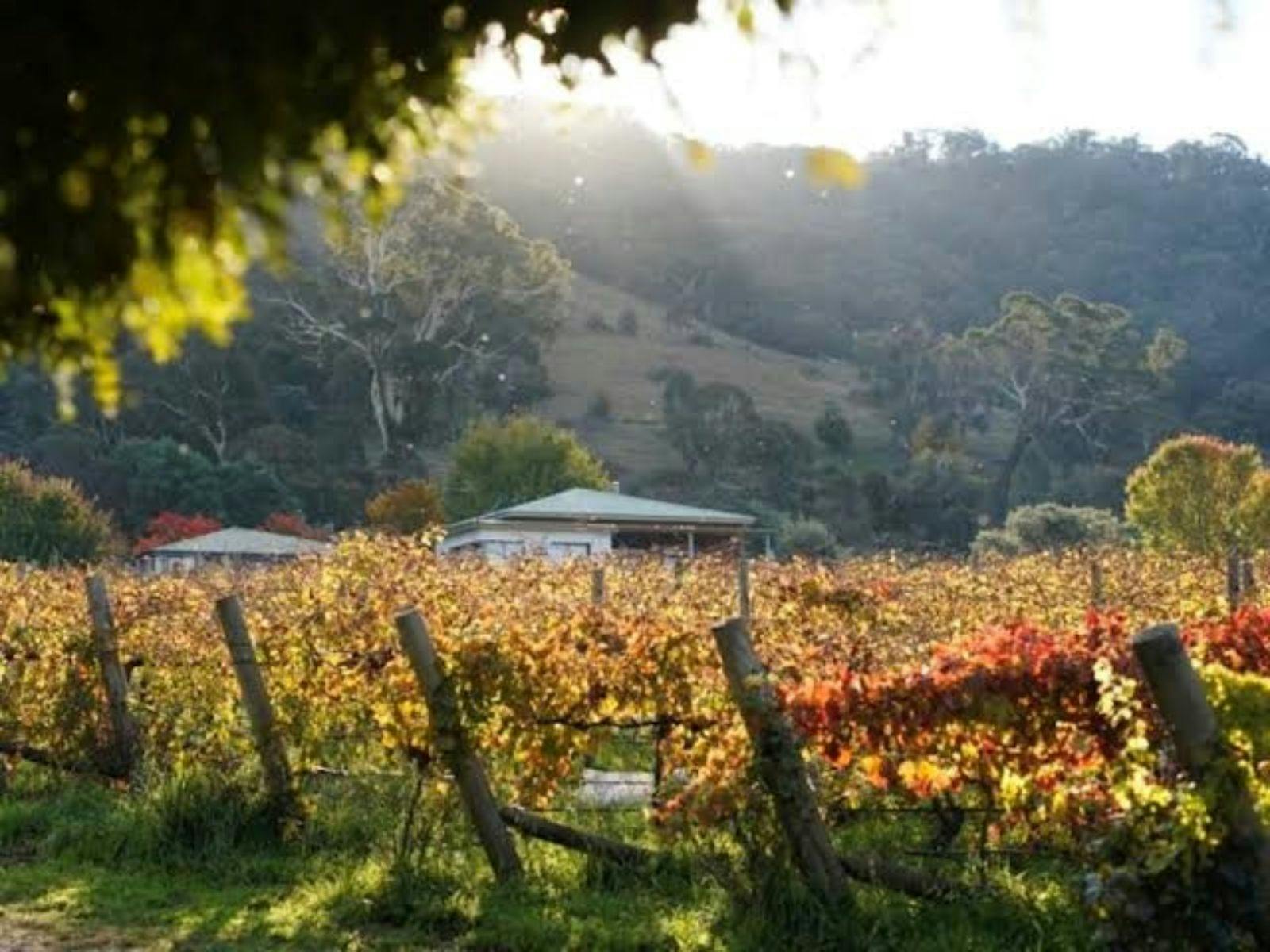 Lake George Winery