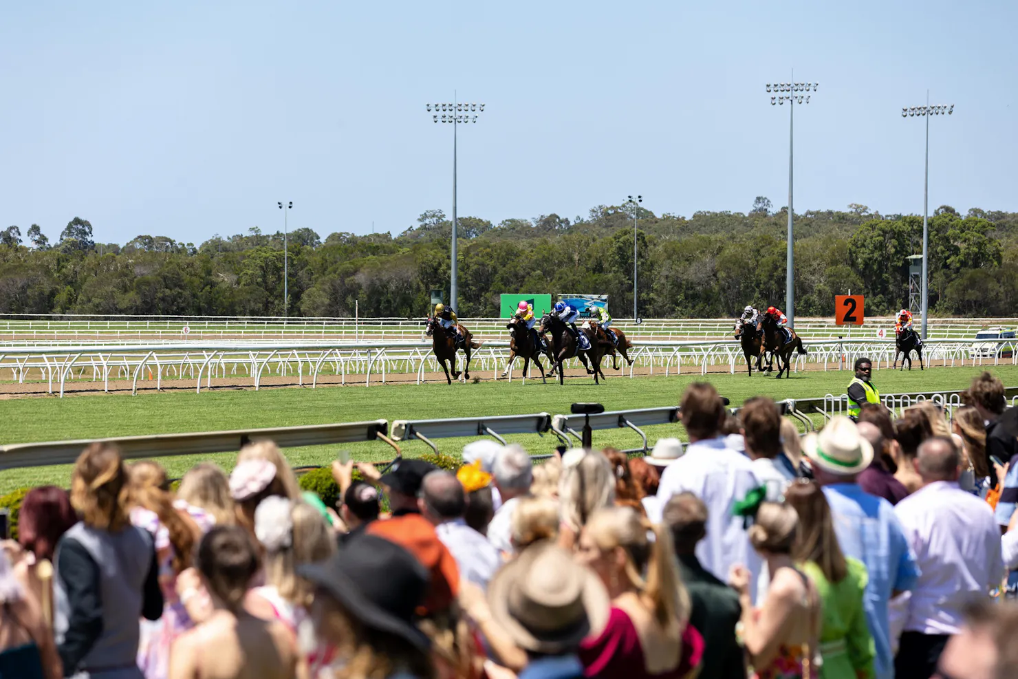 crowd watching horses race on the turf