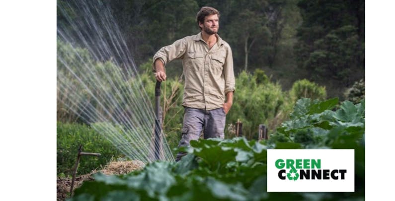 Image of the event 'Grow your own Vegetables – one day workshop'