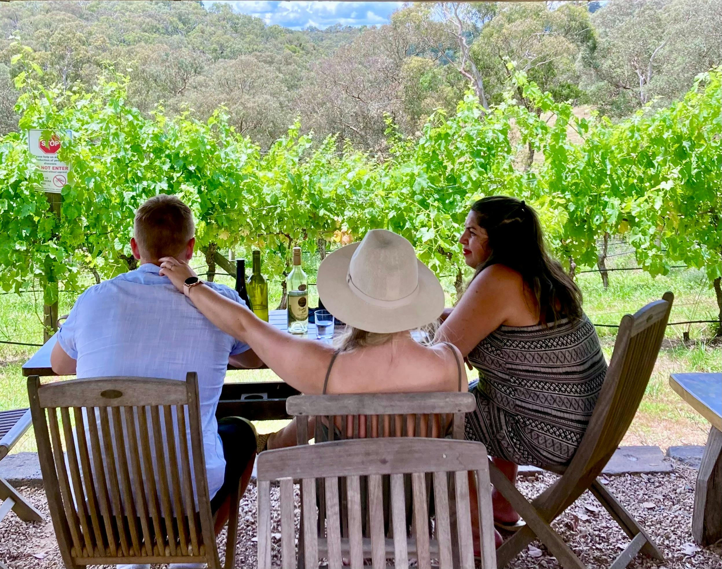 three people sitting at a table overlooking a vineyard, enjoying wine