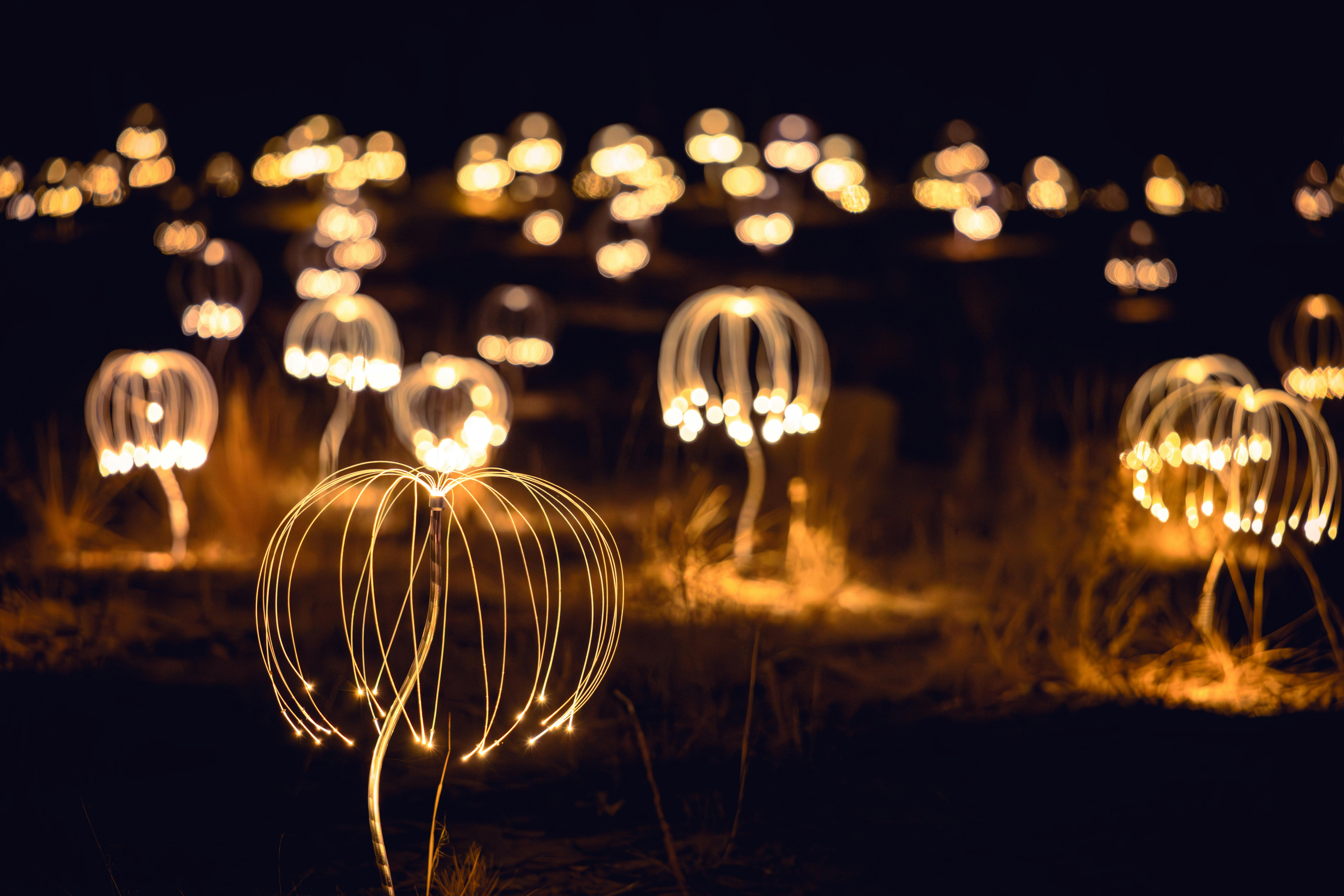 Trail of Lights by Bruce Munro / Mildura, NSW