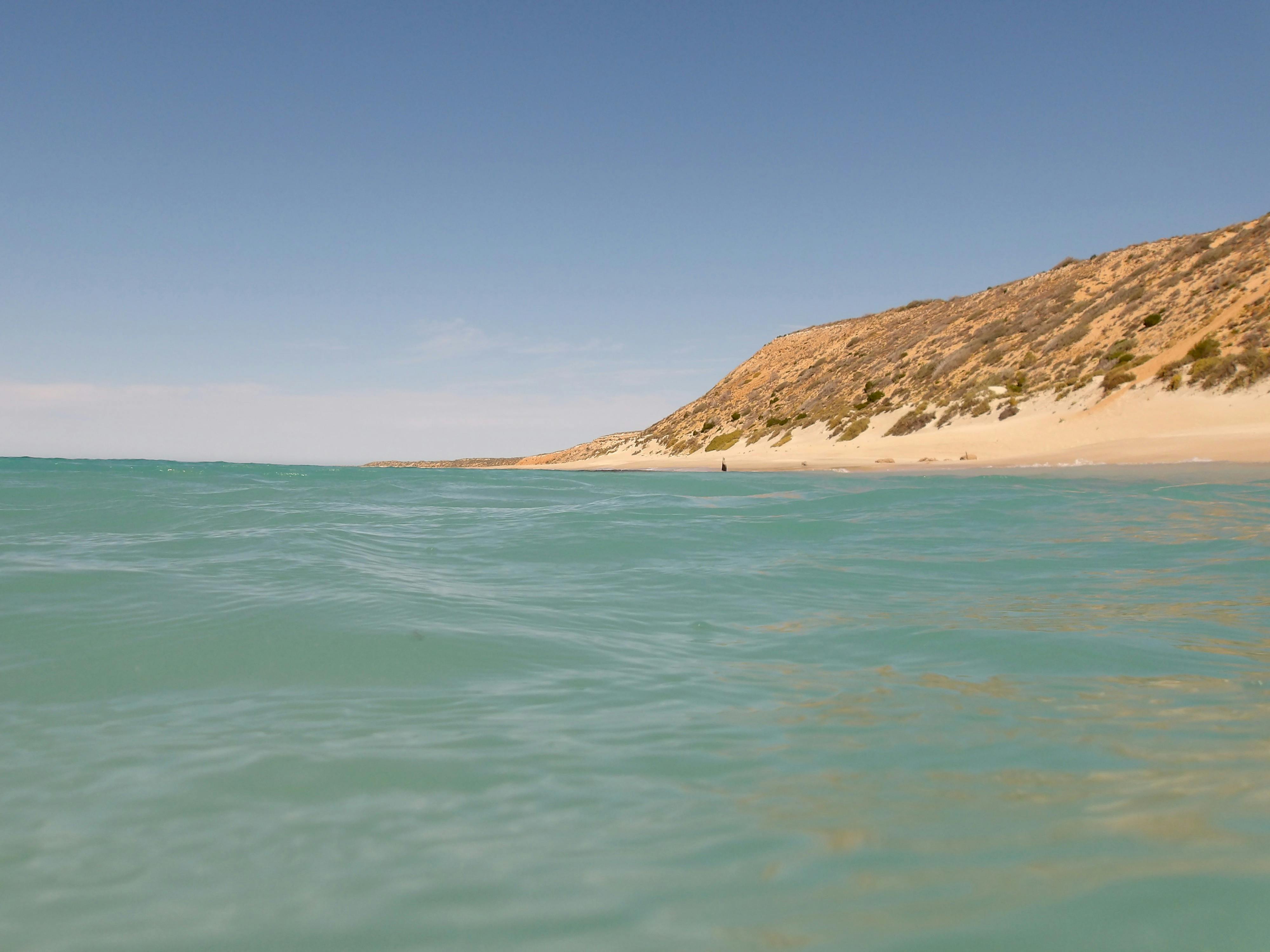 Turtle bay beach on Dirk Hartog from within the pristine waters