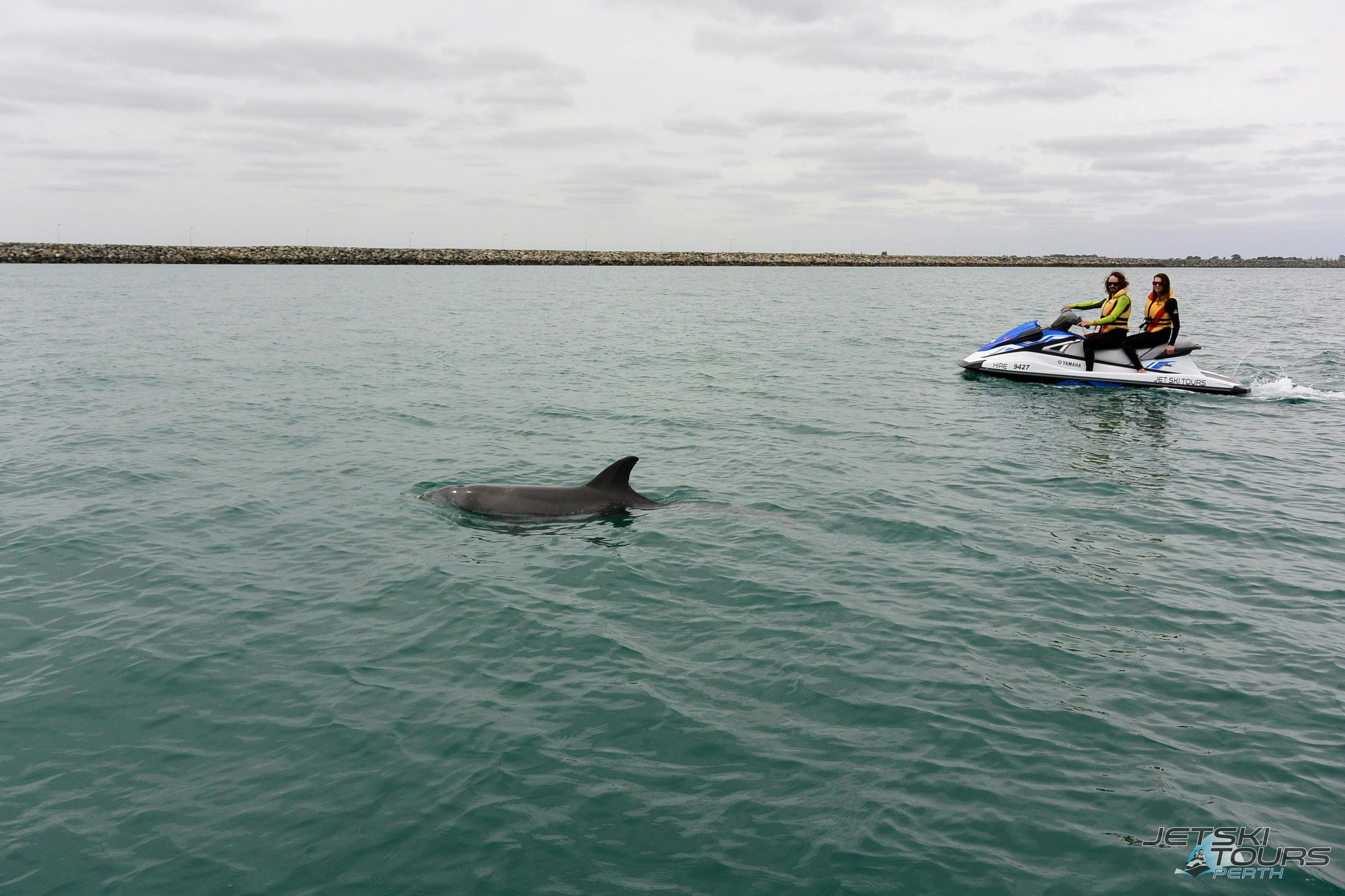Jet Ski Tours, Rockingham, Western Australia