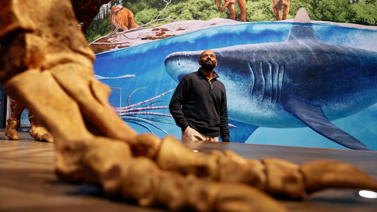 Dinosaurs Unearthed at Queensland Museum Kurilpa