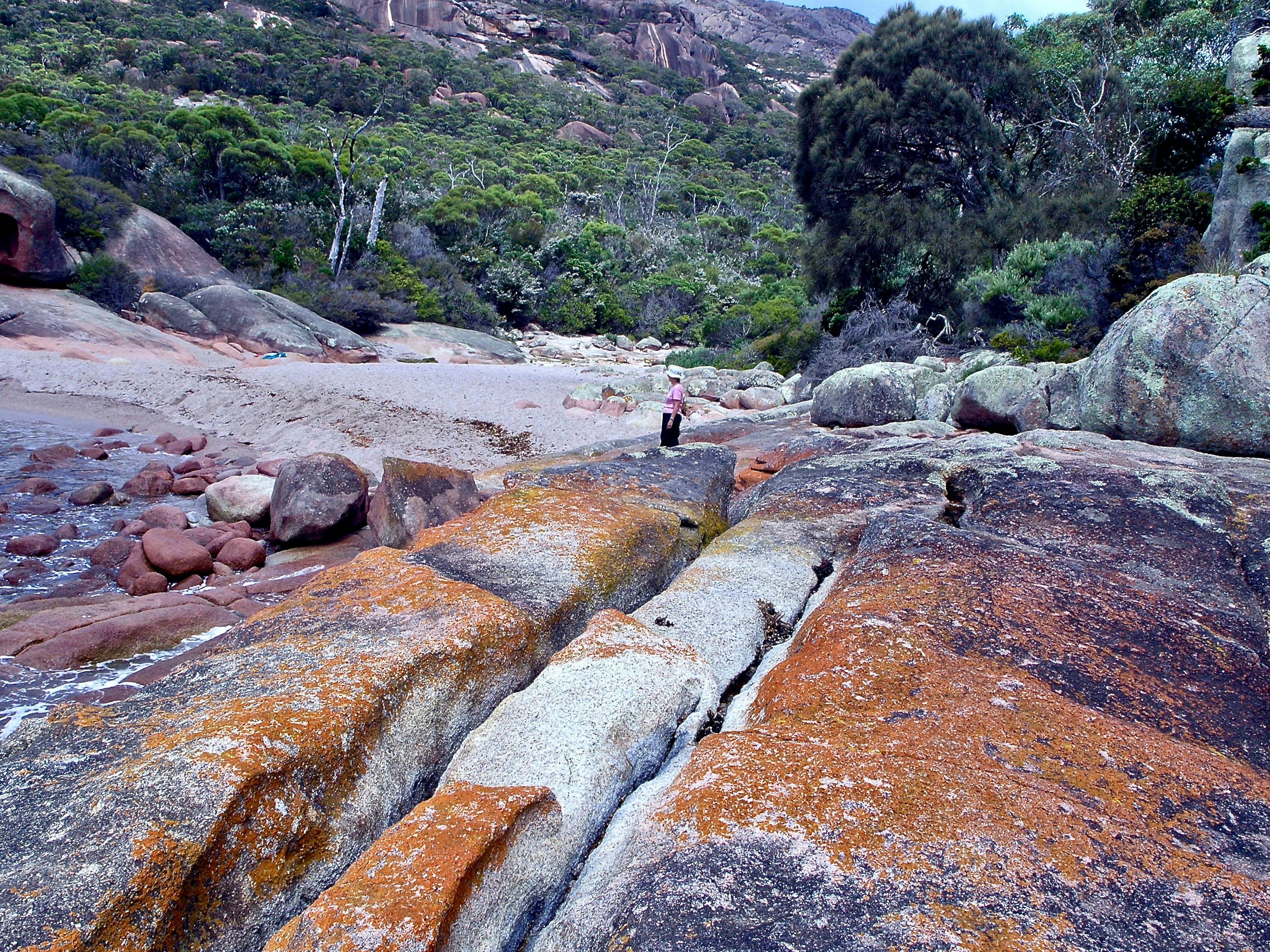 Nature Bound Australia - Tasmania
