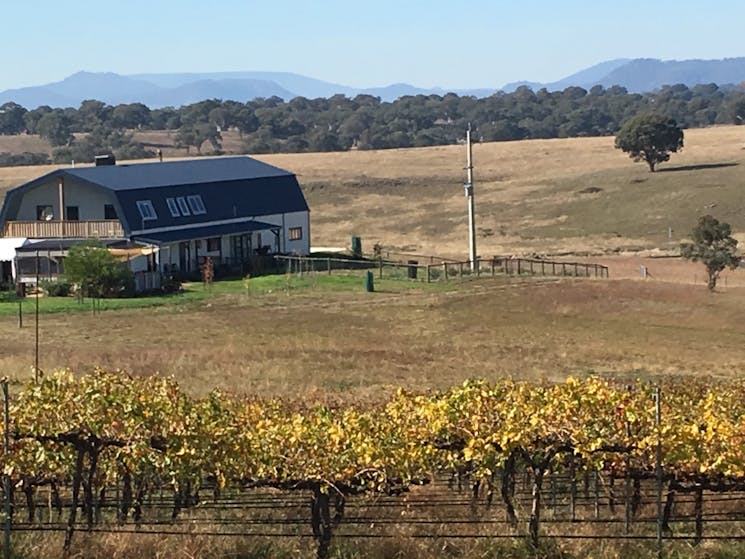 Our unique, Quakers Barn Accomodation stands out agains the beautiful countryside.