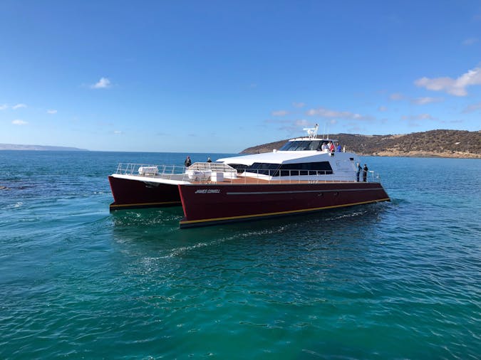 Ferry Transfer