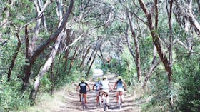 Beacon Hill trails