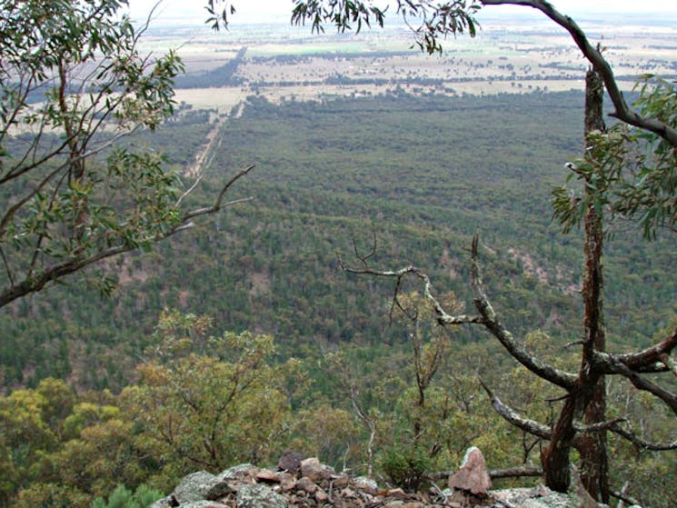 Burrabadine walking track view, Goobang National Park. Photo: A Lavender