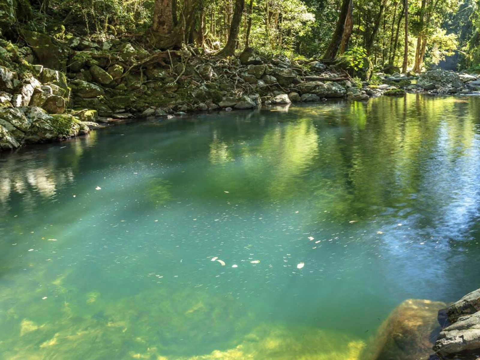 Gold Coast Hinterland Explorer Day Pass