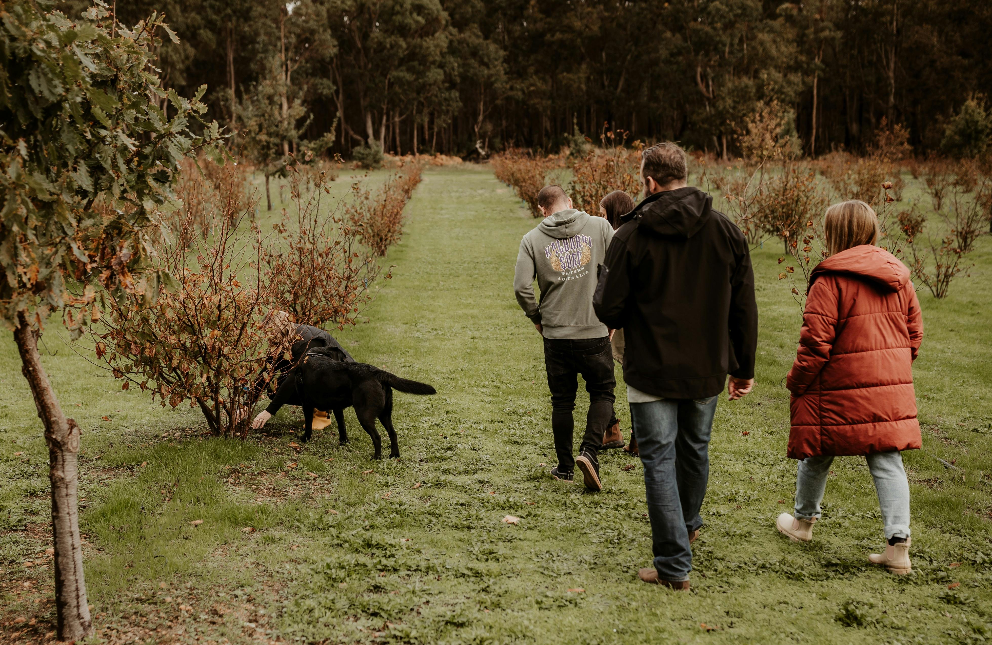 Margaret River Truffle Hunt Experience