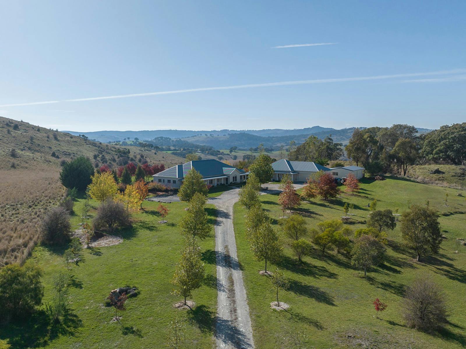 Beautiful driveway with lots of trees leading up to the entrance of the home