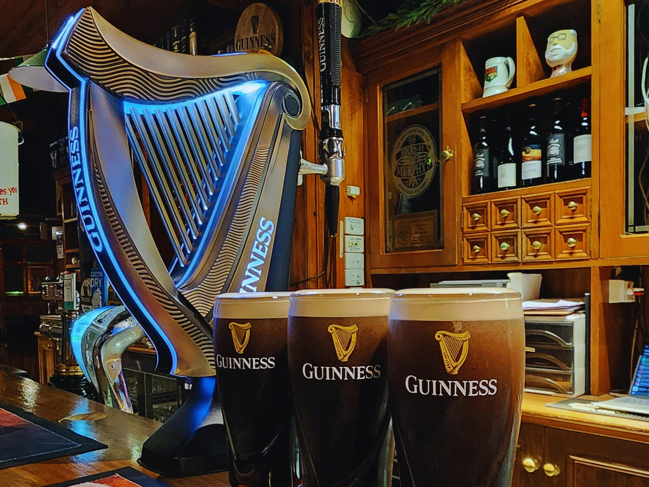 Guinness Harp tap