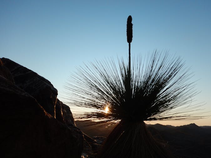 Flinders Ranges Outback 5 Day Small Group Eco Safari