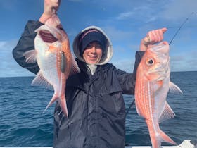 Great on the plate is the Nannygai or Red Bightfish