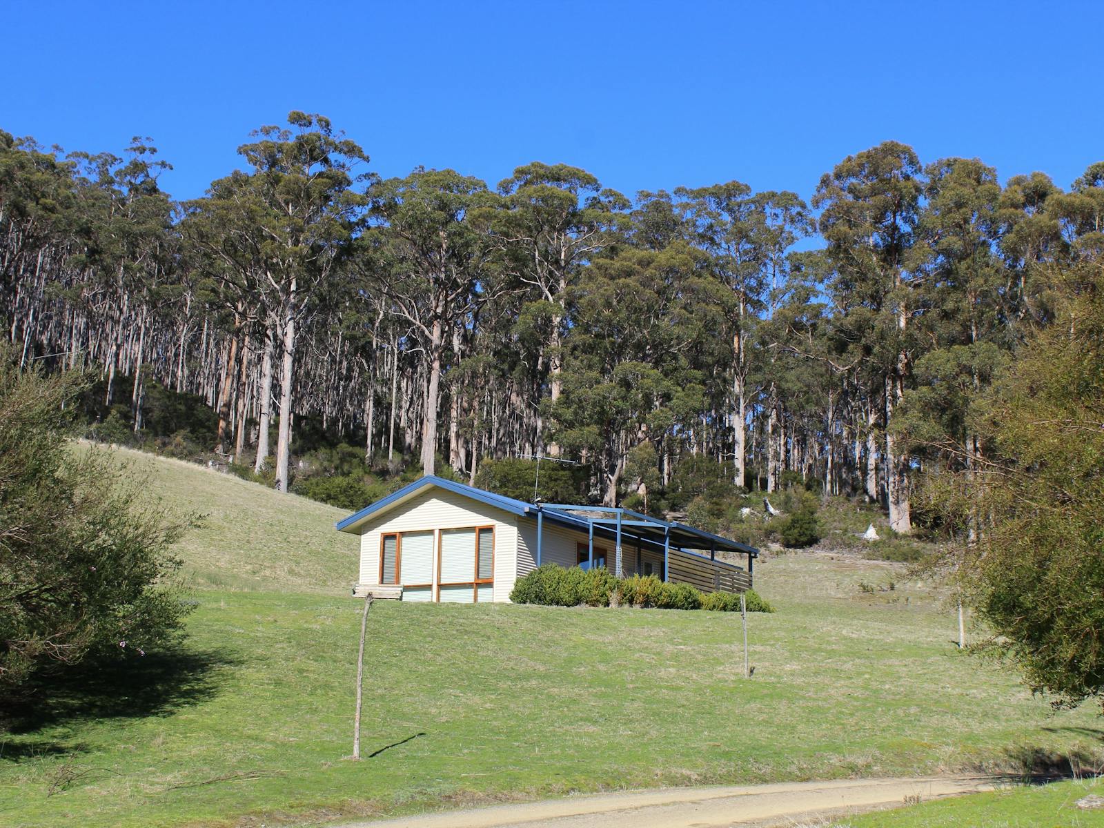 Your first view of the studio as you arrive at Cherryview with the forest in the background