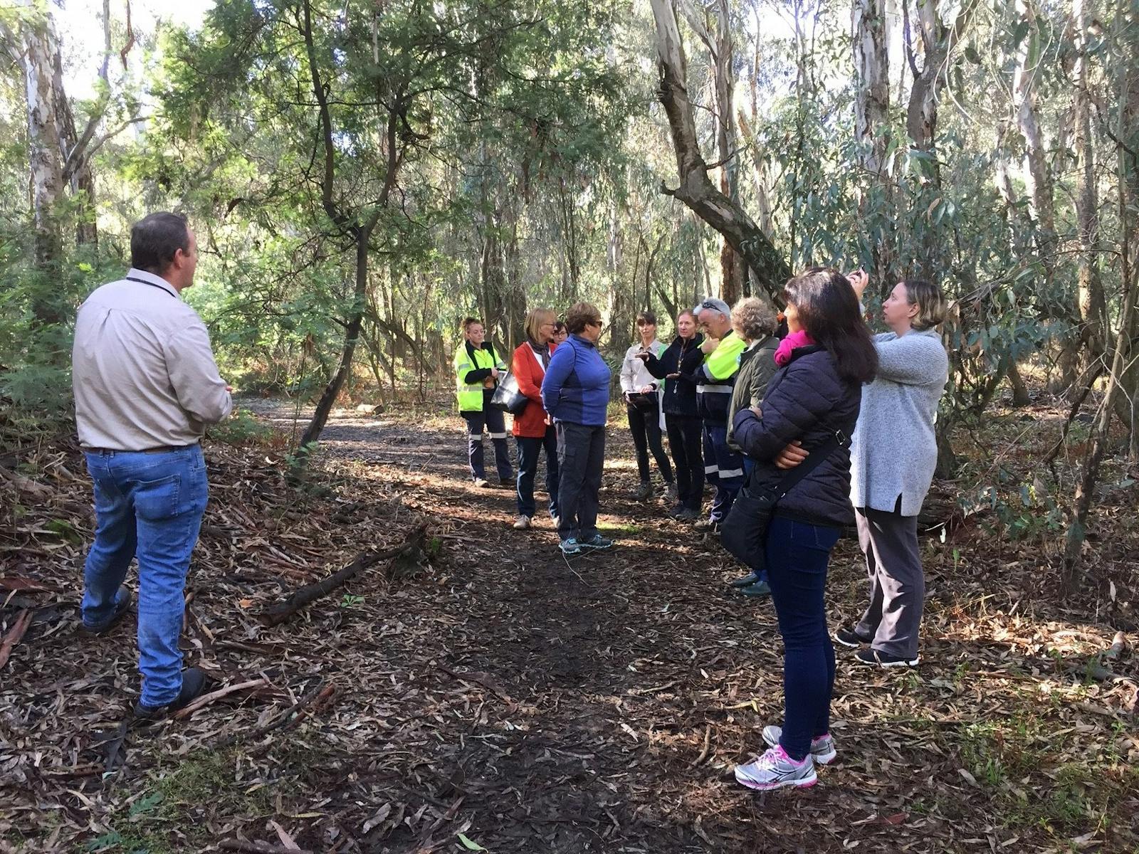 Tour Guide, group of people taking photos, gum trees, dried leaves, sunlight filtering through trees