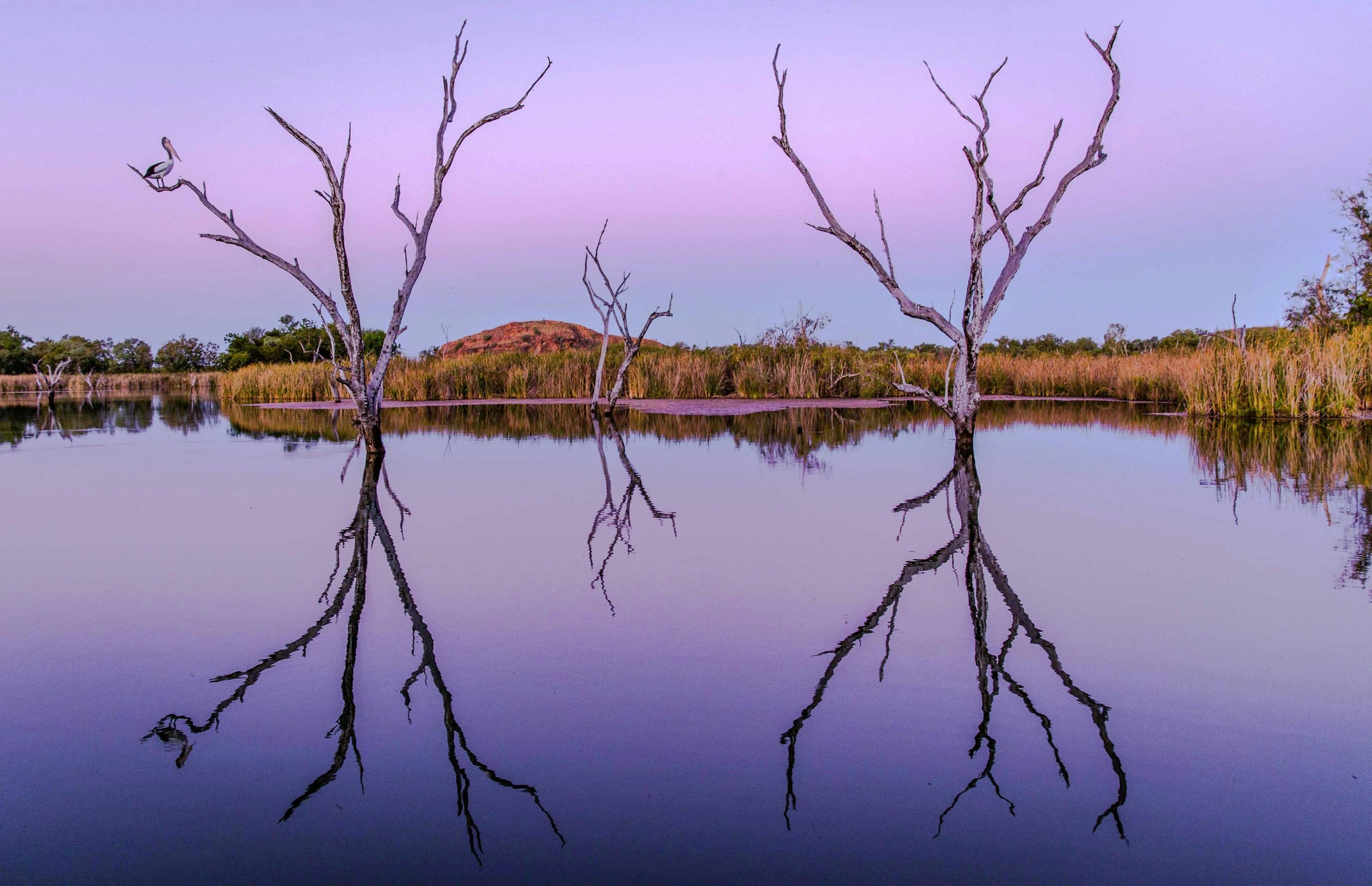 Kununurra Cruises, Kununurra, Western Australia