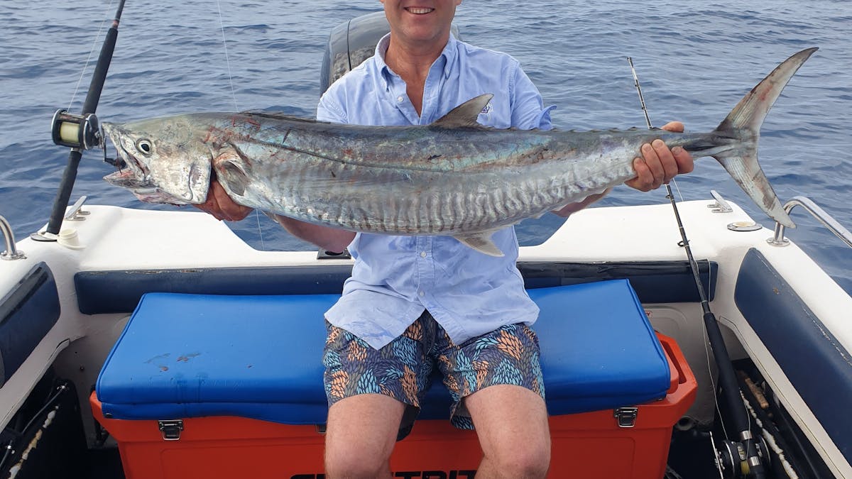 Spanish Mackerel weighed in at 23kg