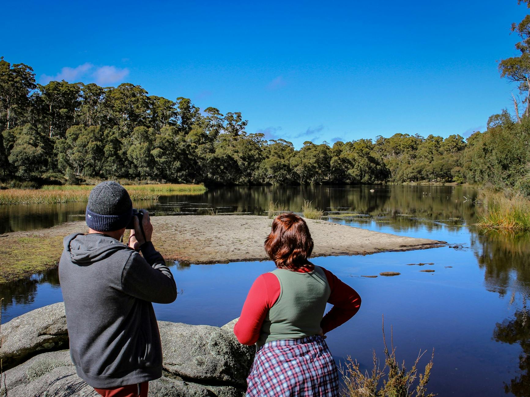 Paddys River Dam, Bago State Forest
