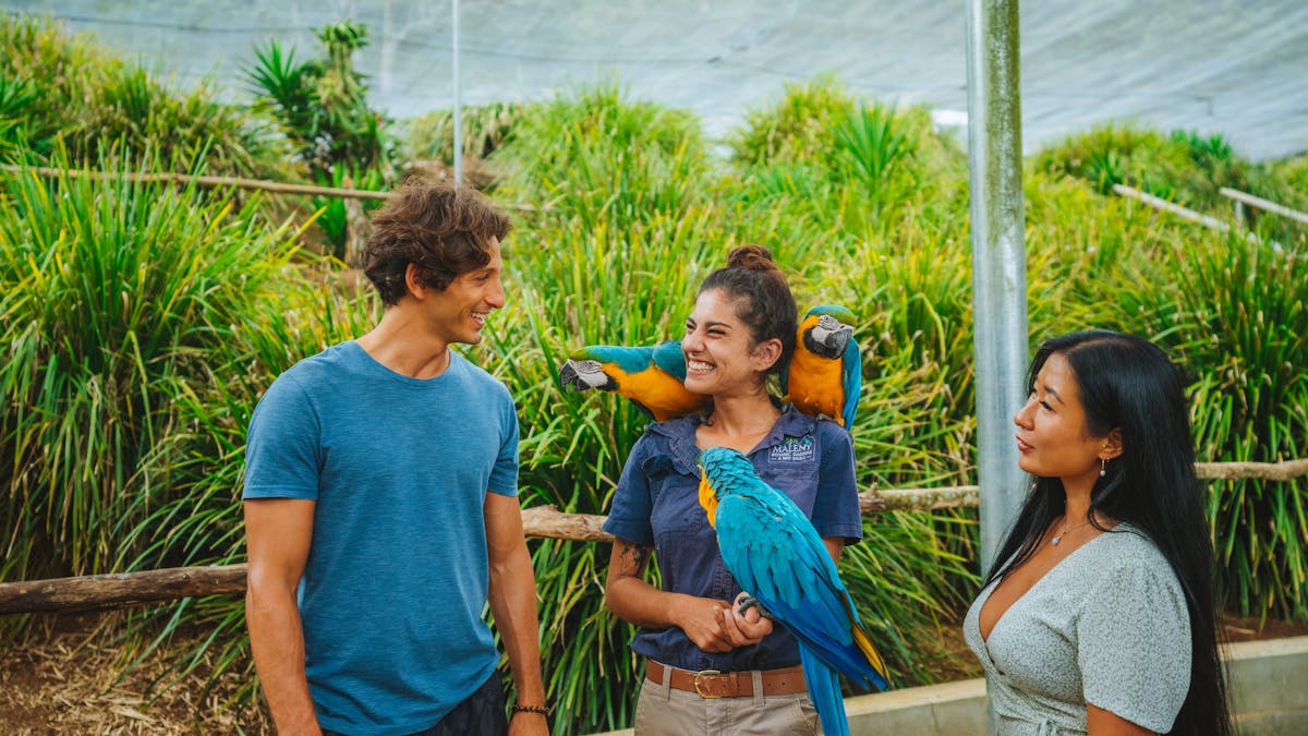 Bird World