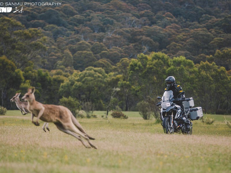 Motorcycle Hire Sydney Australia Motorcycle Hire Sydney Australia