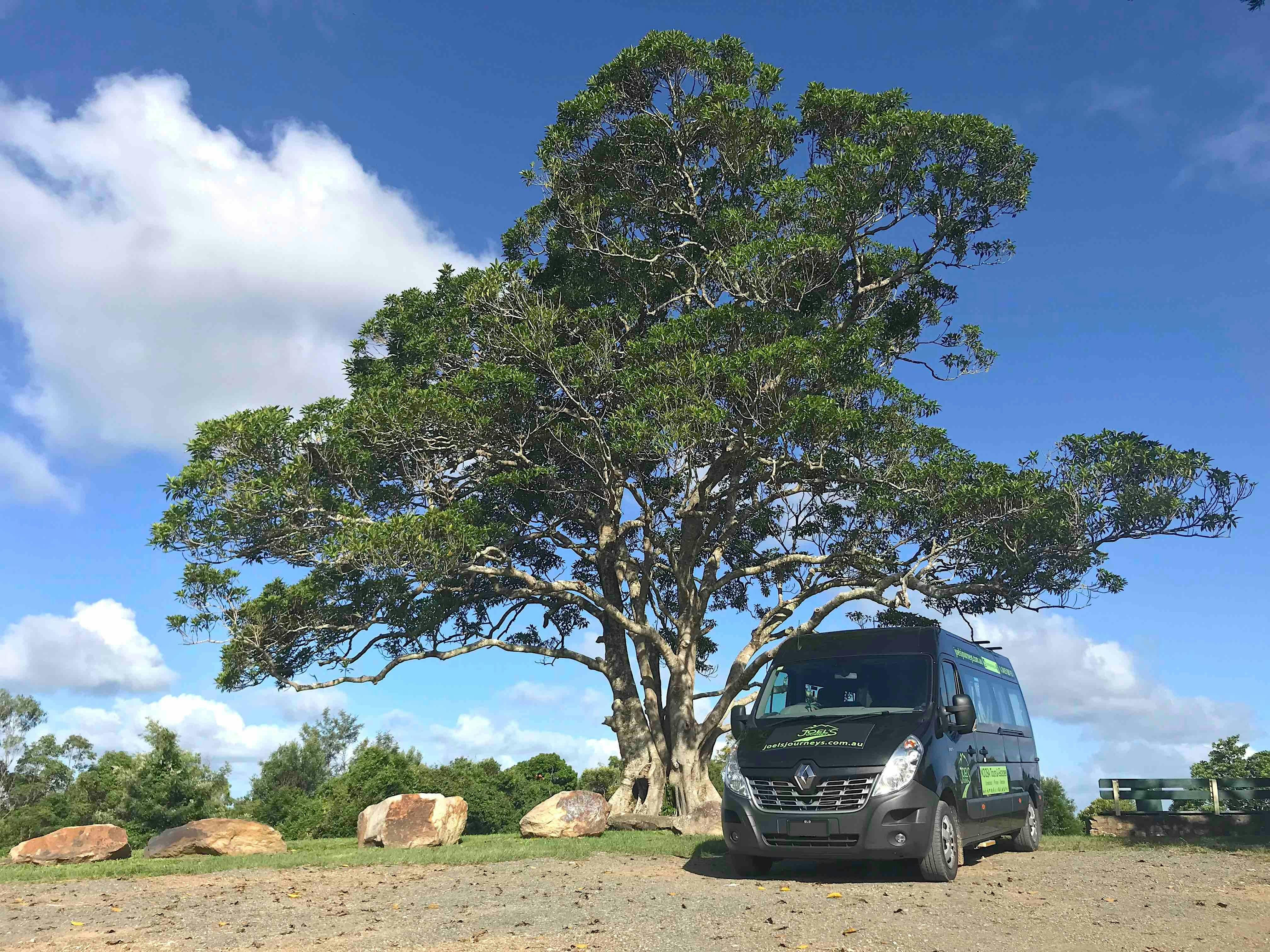 Joel's Journeys Noosa Hinterland Tour