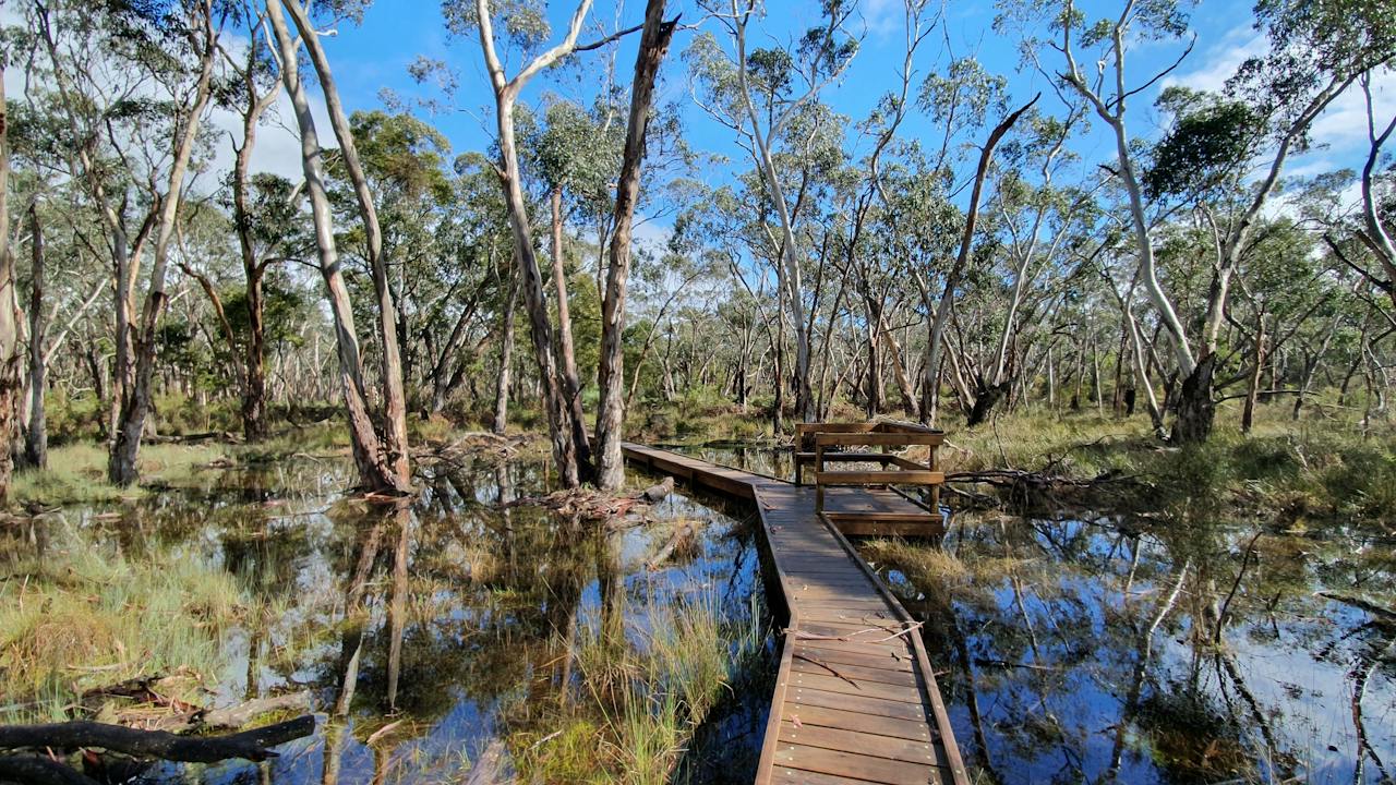 Honan Mint Trail wetland boardwalk