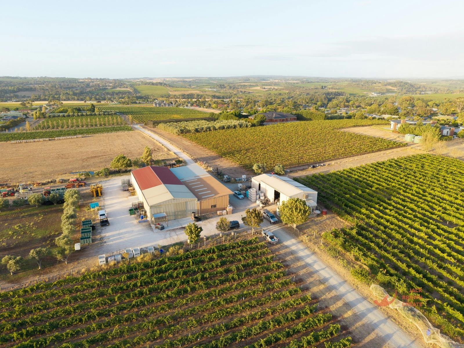 Juxtaposed Wine Tasting