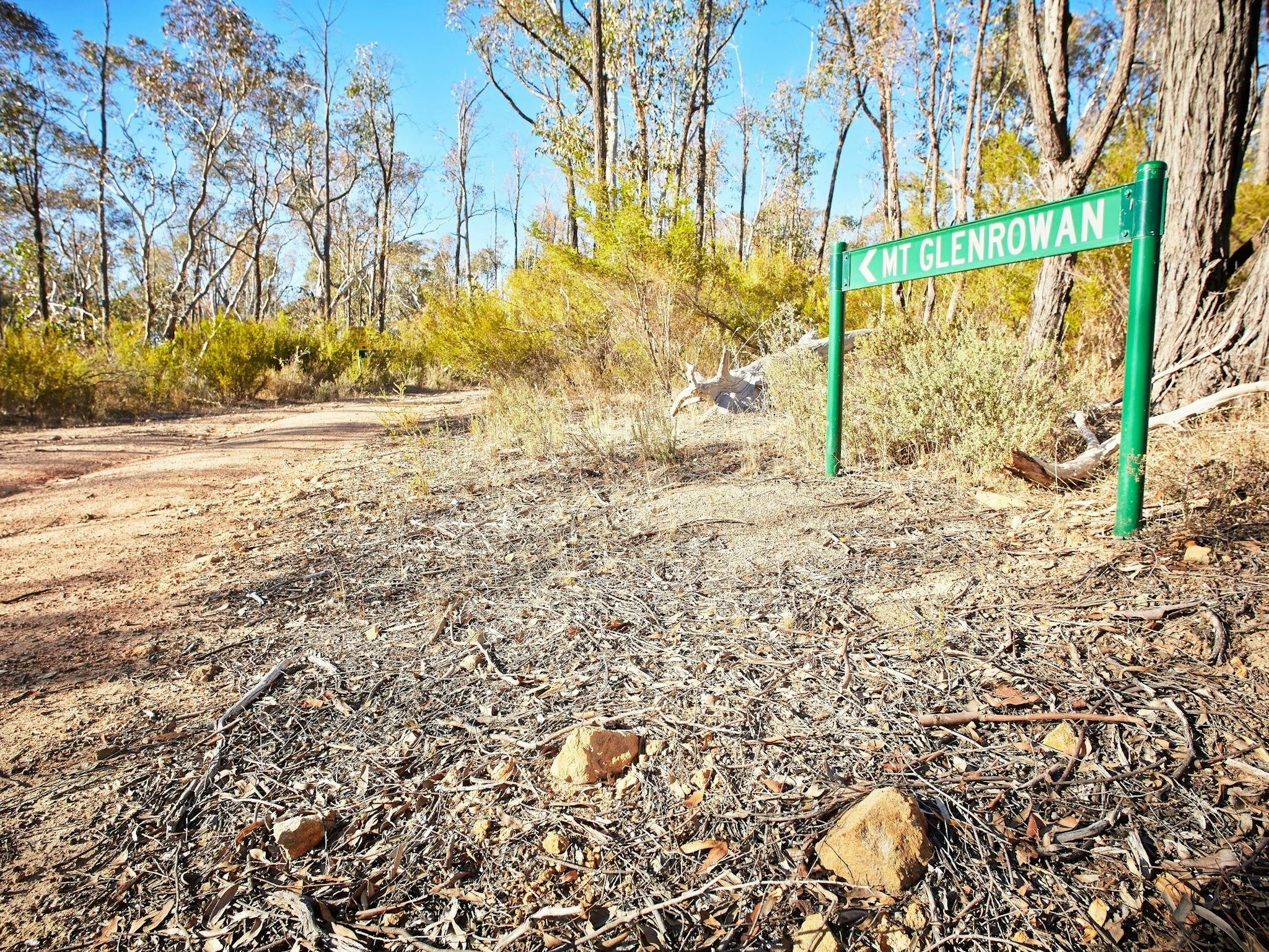 Green directional sign to Mt Glenrowan, dried leaves, rocks, road, green bushes, gum trees, blue sky