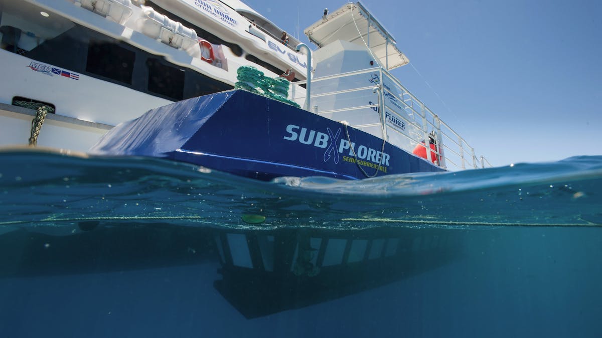 Down Under Cruise and Dive