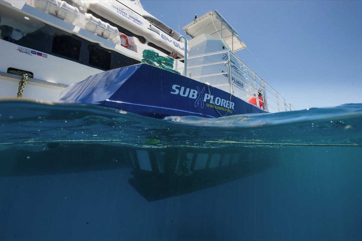 Down Under Cruise and Dive