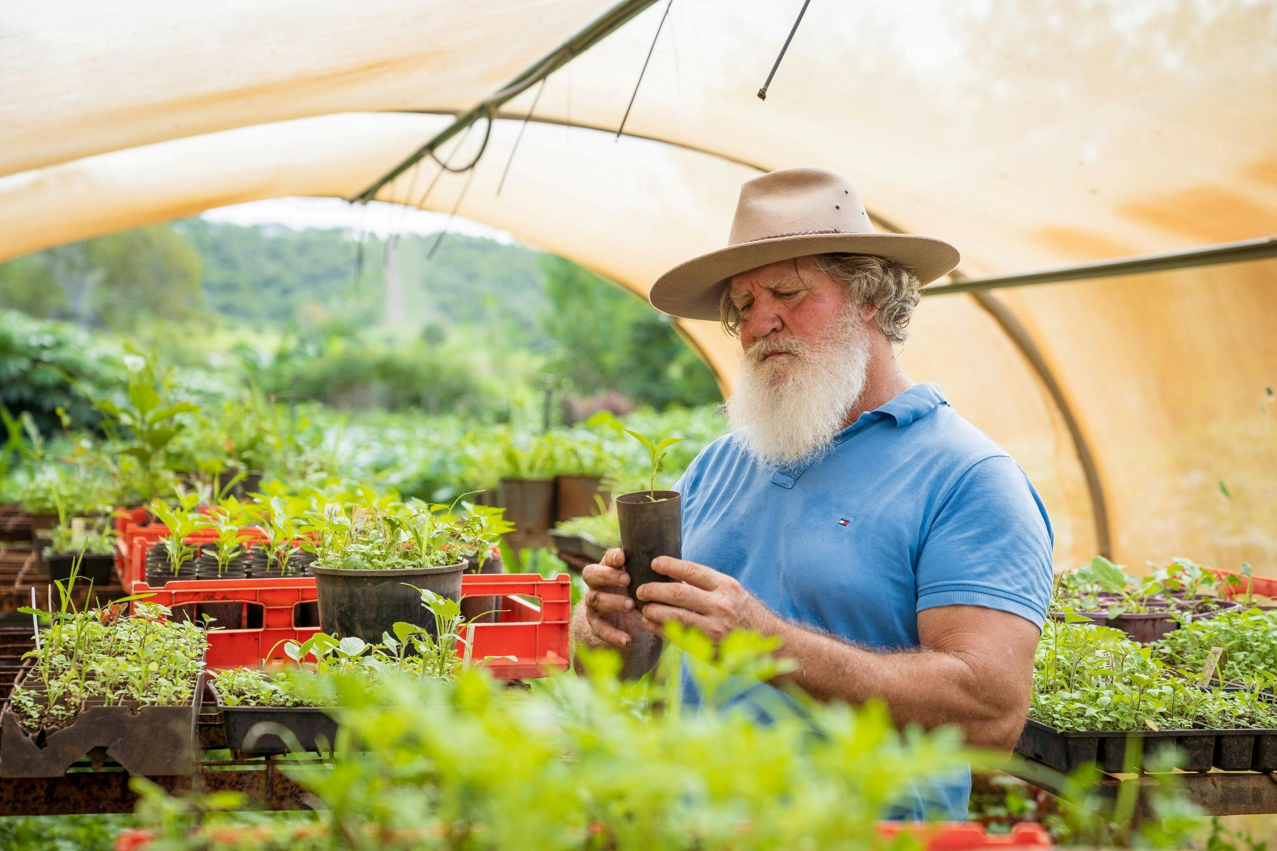 High Valley Dawn Permaculture Farm