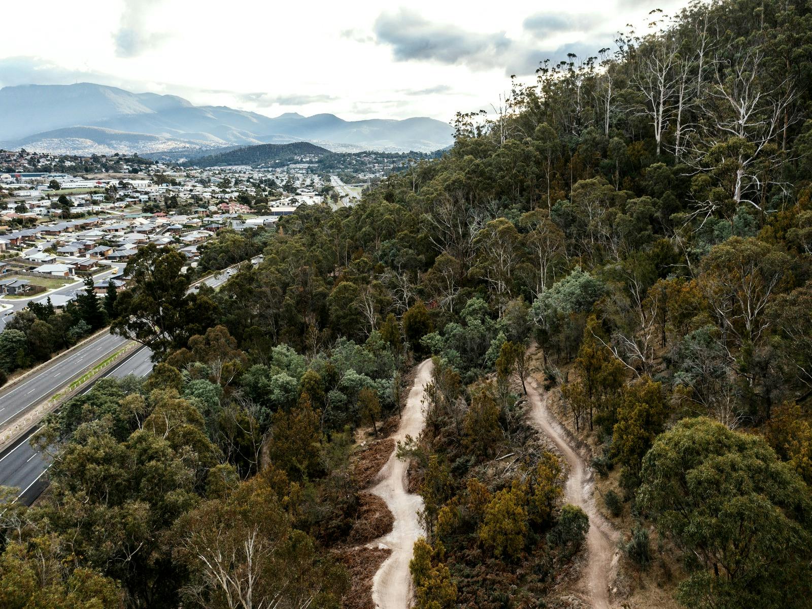 Clarence Mountain Bike Park 3