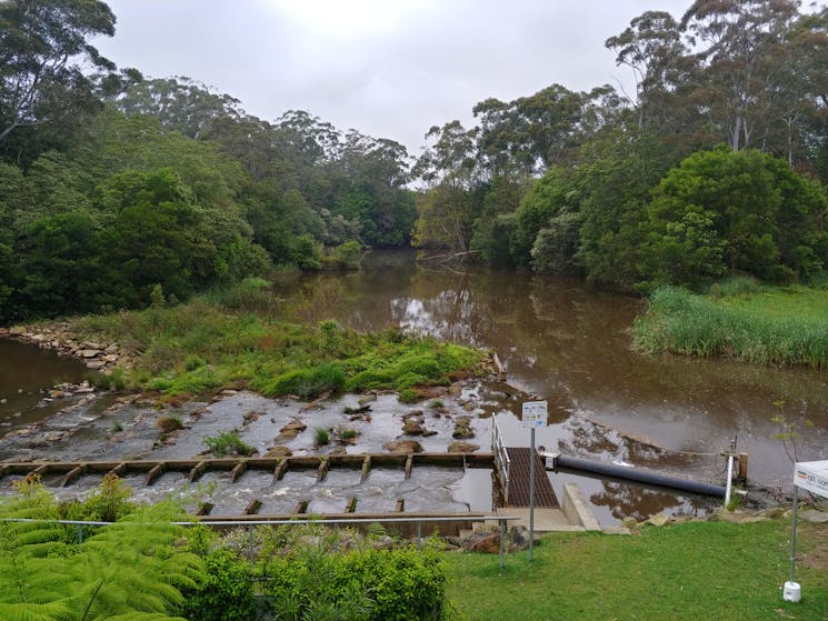 Little Creek Cheese fish ladder