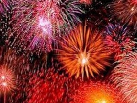 Beautiful flower shaped exploding fireworks with orange cascades firing upwards. Yellow centres.