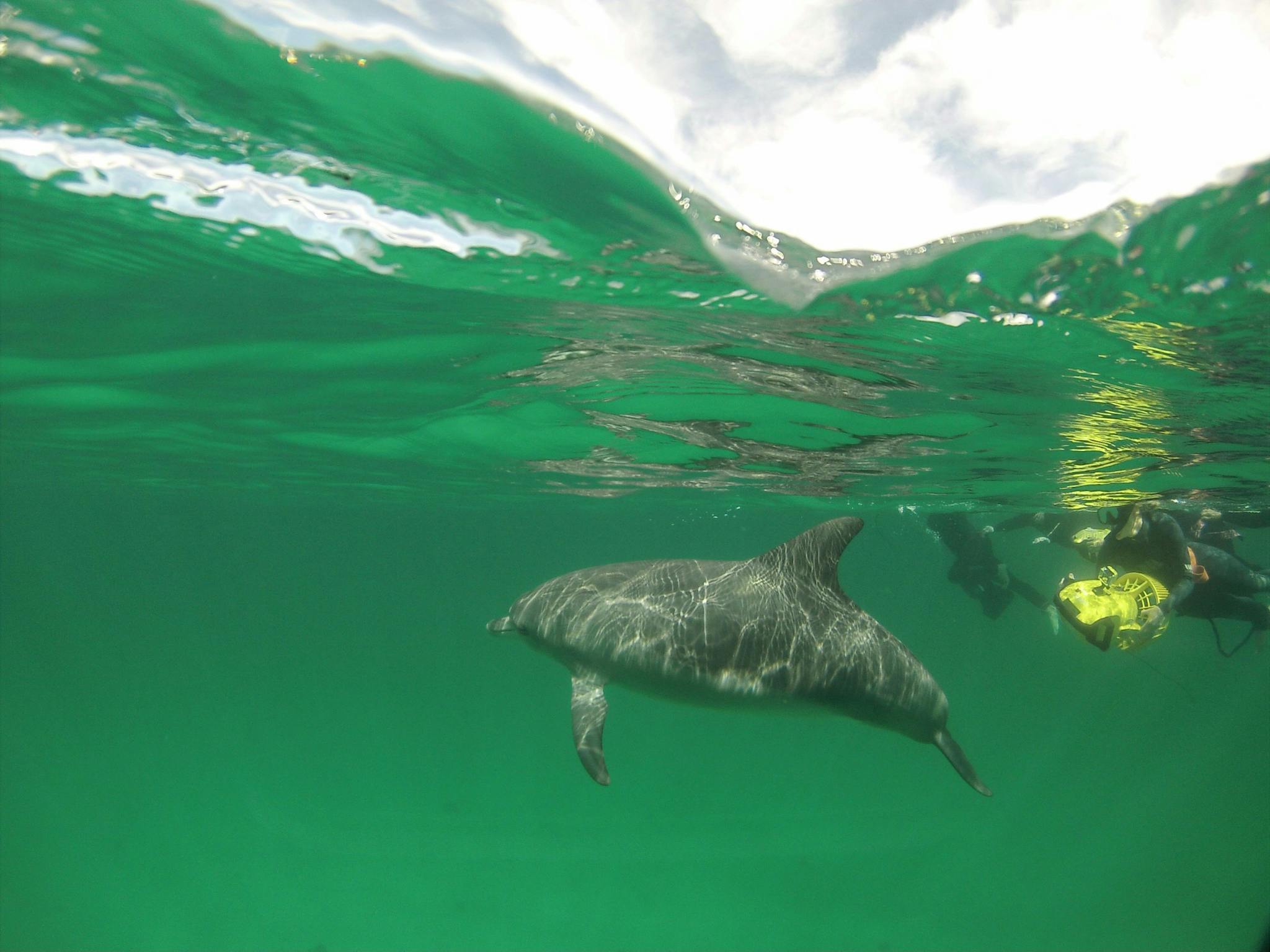 Rockingham Wild Encounters, Rockingham Beach, Western Australia