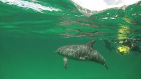 Rockingham Wild Encounters, Rockingham Beach, Western Australia