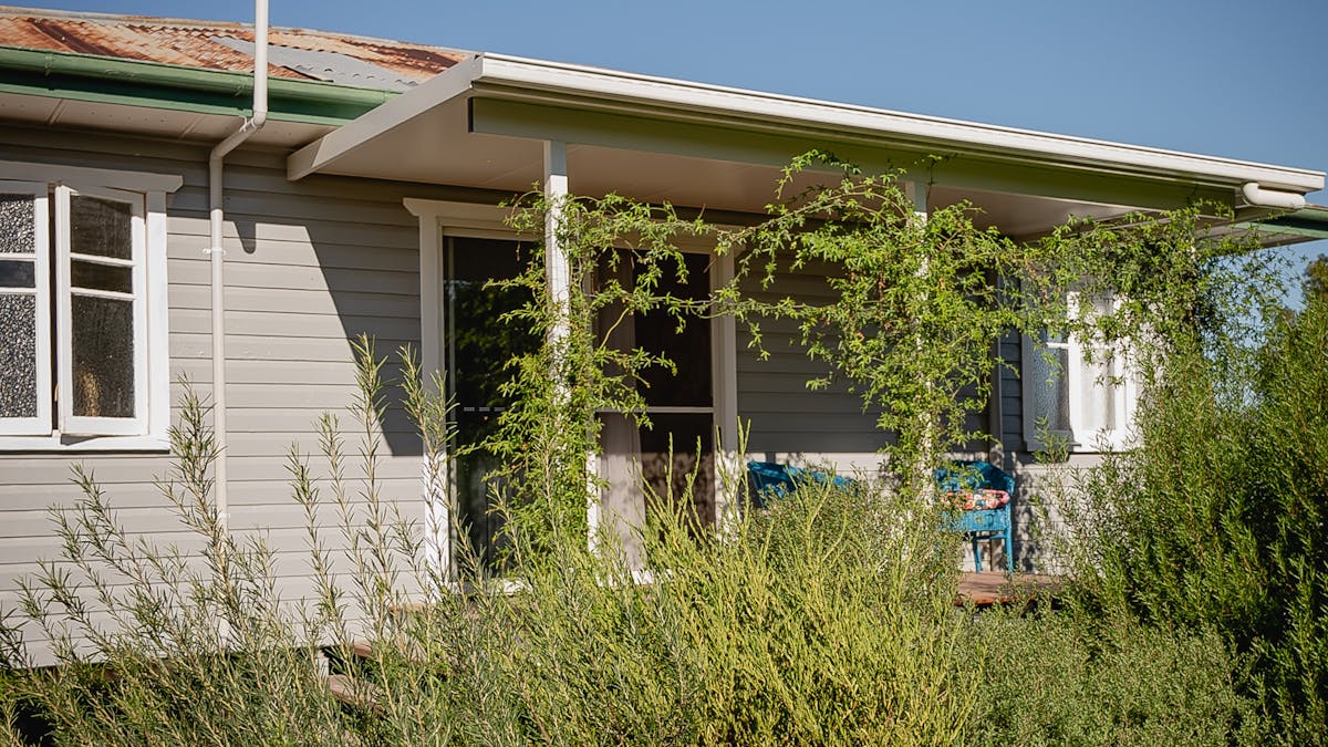 The cottage is surrounded by native Australian plants that attract birds