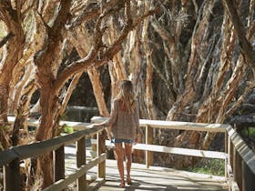 Mangroves and Koombana Bay Footbridge, Bunbury, Western Australia