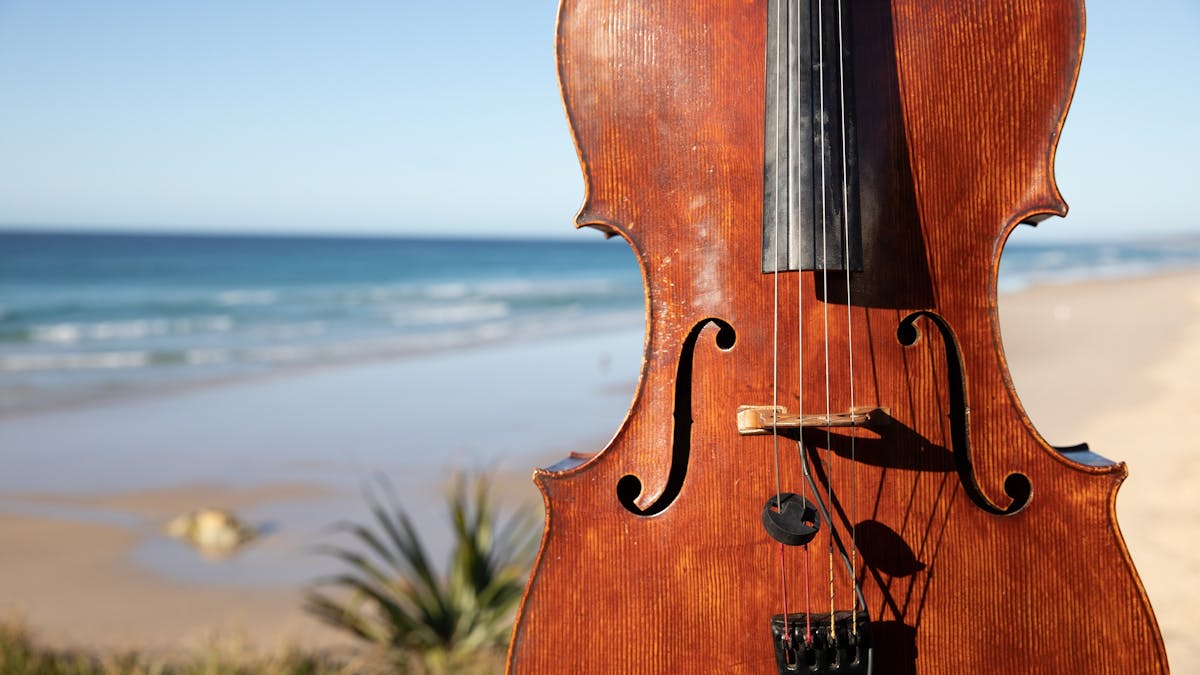 Close-up of a violin on the Lifesavers' Headland at Pt Lookout, North Stradbroke IslandA violin b
